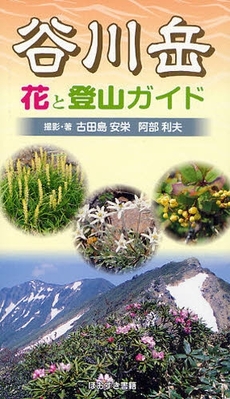 谷川岳花と登山ガイド