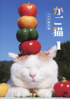 良書網 かご猫 出版社: 宝島社 Code/ISBN: 9784796663281