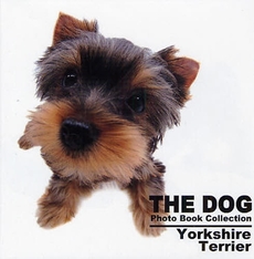 THE DOG Photo Book Collection Yorkshire Terrier