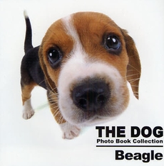 良書網 THE DOG Photo Book Collection Beagle 出版社: 日本ｲﾝﾍﾞｽﾀｰｽﾞｻｰ Code/ISBN: 9784777111701