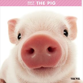 良書網 THE PIG 出版社: Try-X Code/ISBN: CL-1145
