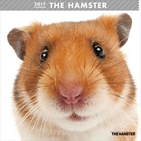 THE HAMSTER