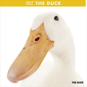 THE DUCK