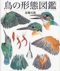 鳥の形態図鑑