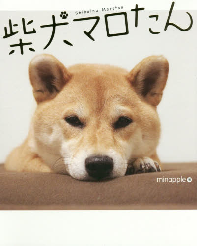 良書網 柴犬マロたん 出版社: ＫＡＤＯＫＡＷＡ Code/ISBN: 9784047343115