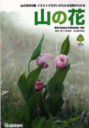 良書網 山の花 自然発見ｶﾞｲﾄﾞ 出版社: 学研 Code/ISBN: 9784054029040