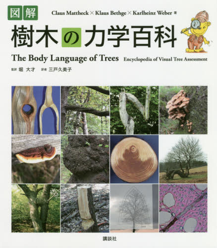 図解樹木の力学百科