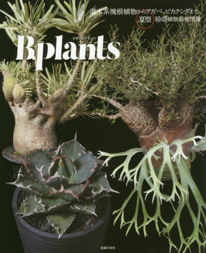 ビザールプランツ　―　灌木系塊根植物からアガベ、ビカクシダまで、夏型珍奇植物最新情報