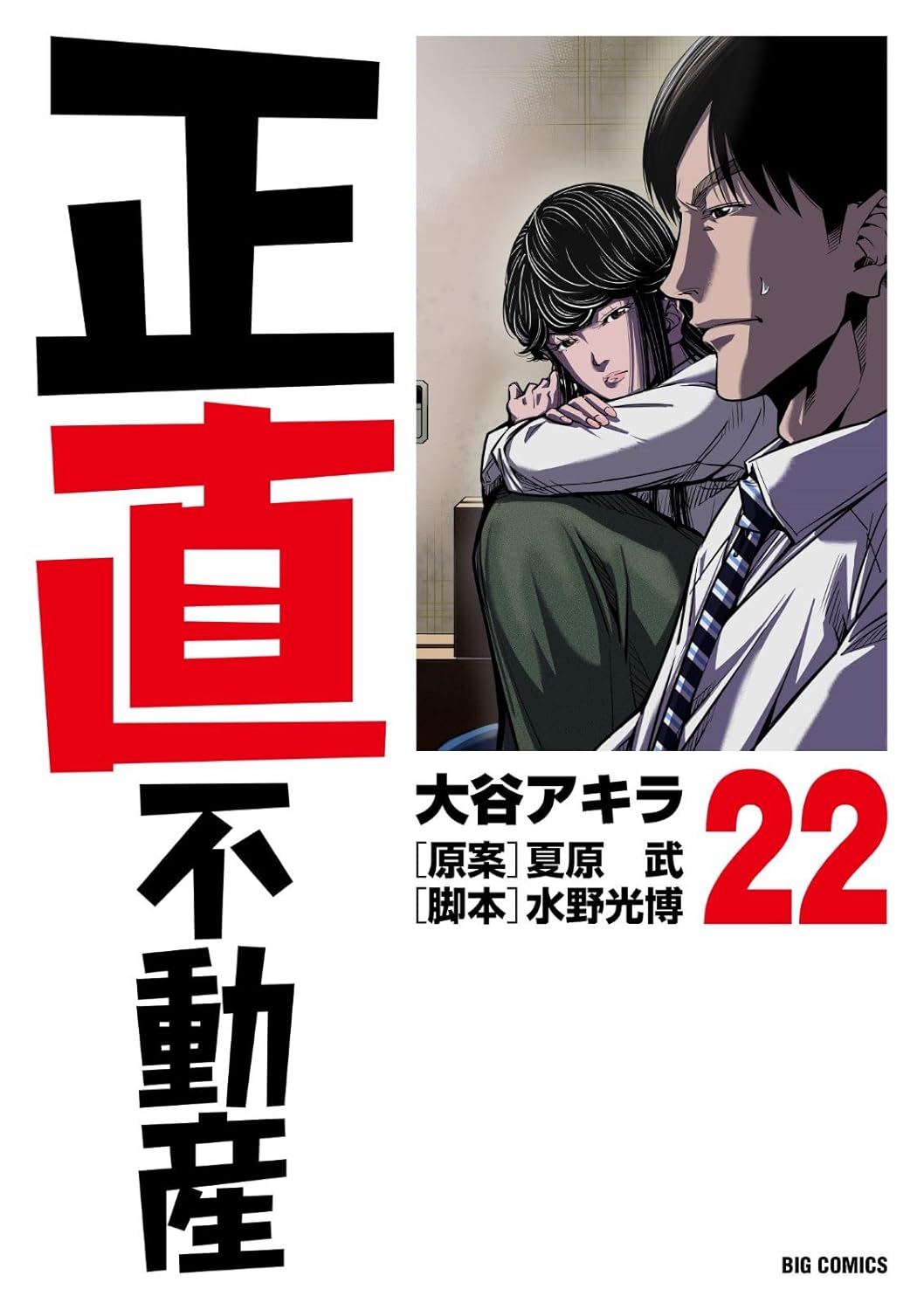 9784098635665 正直不動産　２２　【ビッグコミックス】