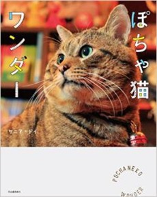 良書網 ぽちゃ猫ワンダー 出版社: 河出書房新社 Code/ISBN: 9784309275536