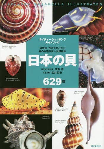 日本の貝　温帯域・浅海で見られる種の生態写真＋貝殻標本　６２９種