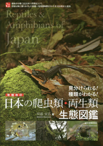 良書網 日本の爬虫類・両生類生態図鑑　見分けられる！種類がわかる！ 出版社: 誠文堂新光社 Code/ISBN: 9784416620106