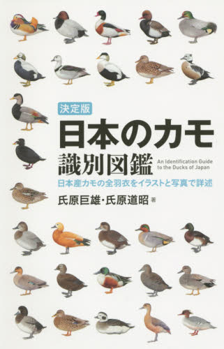日本のカモ識別図鑑　決定版　日本産カモの全羽衣をイラストと写真で詳述