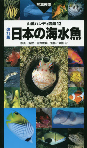 良書網 日本の海水魚　写真検索 出版社: 山と溪谷社 Code/ISBN: 9784635070416