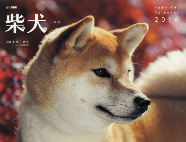 良書網 カレンダー　’１６　柴犬 出版社: 山と溪谷社 Code/ISBN: 9784635851480