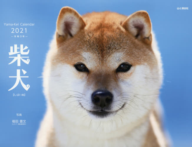 カレンダー　’２１　柴犬