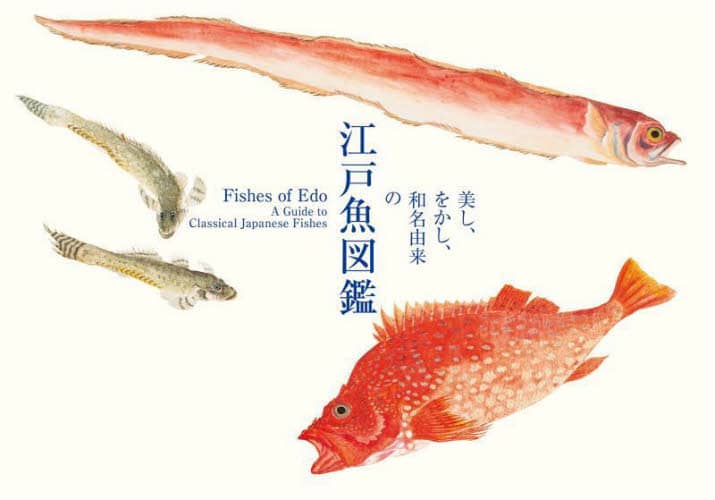 良書網 美し、をかし、和名由来の江戸魚図鑑 出版社: パイインターナショナル Code/ISBN: 9784756256515