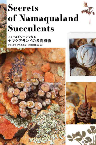良書網 フィールドワークで知るナマクアランドの多肉植物 出版社: グラフィック社 Code/ISBN: 9784766134353