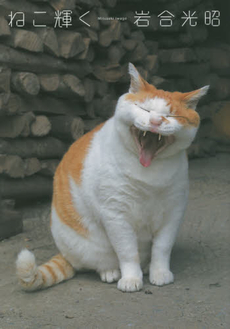 良書網 ねこ輝く　ニッポンの猫写真集 出版社: 辰巳出版 Code/ISBN: 9784777814695