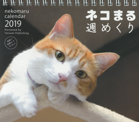 カレンダー　’１９　ネコまる週めくり