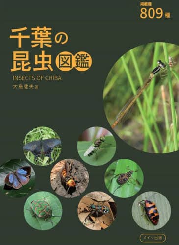 千葉の昆虫図鑑　８０９種