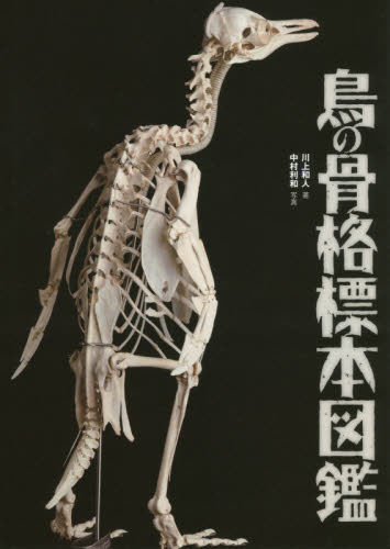 良書網 鳥の骨格標本図鑑 出版社: 文一総合出版 Code/ISBN: 9784829975091