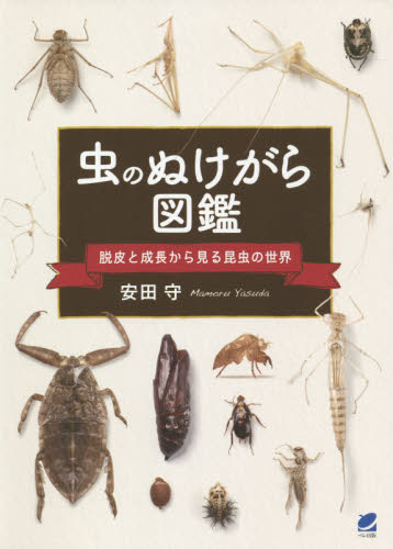 良書網 虫のぬけがら図鑑　脱皮と成長から見る昆虫の世界 出版社: ベレ出版 Code/ISBN: 9784860646608