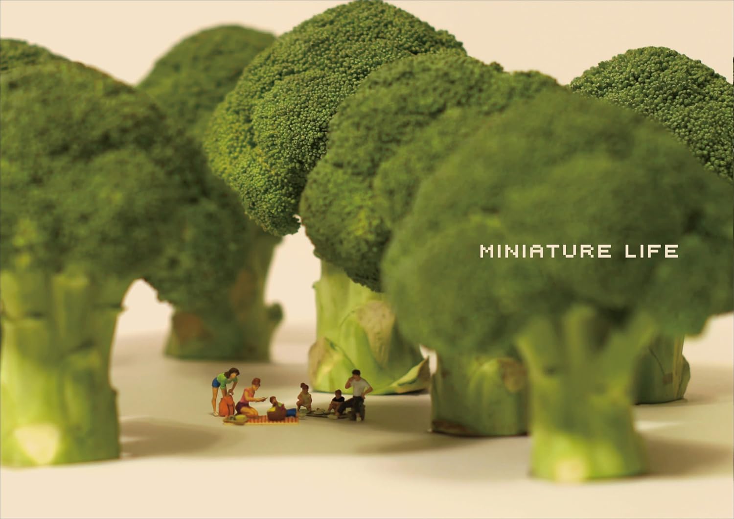 ＭＩＮＩＡＴＵＲＥ　ＬＩＦＥ　Ｃｏｎｃｅｐｔｕａｌ　ａｒｔ　ｏｆ　ＭＩＮＩＡＴＵＲＥ　ＣＡＬＥＮＤＡＲ