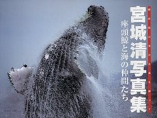 宮城清写真集　座頭鯨と海の仲間たち　慶良間の海の永遠を願って