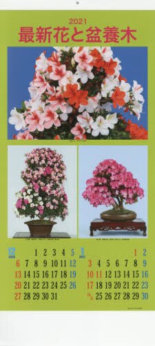 カレンダー　’２１　最新花と盆養木