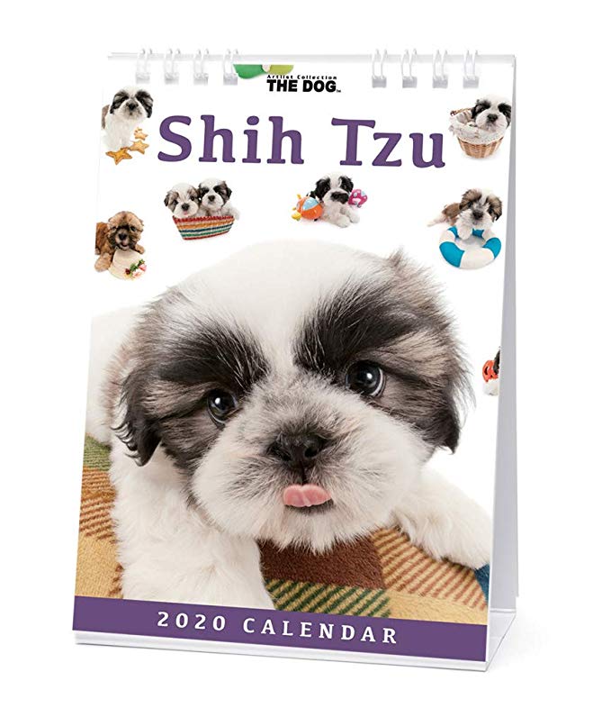 カレンダー 2020 卓上 THE DOG 犬 シー・ズー 403372 2020年1月-2020年12月 両面カラー アーリスト イヌ いぬ Shih Tzu