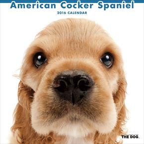 American Cocker Spaniel 2016 年曆