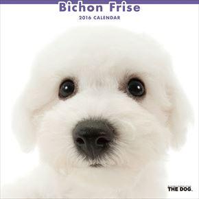 Bichon Frize 2016 年曆