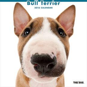 Bull Terrier 2016 年曆