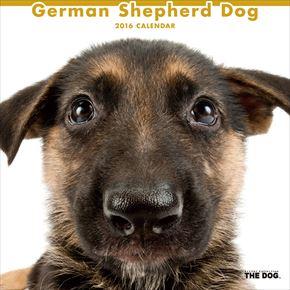 German Shepherd Dog 2016 年曆