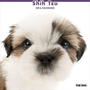 Shih Tzu 2016 年曆