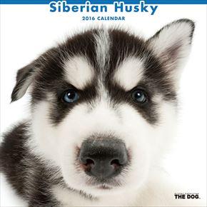 良書網 Siberian Husky 2016 年曆 出版社: Try-X Code/ISBN: CL1136