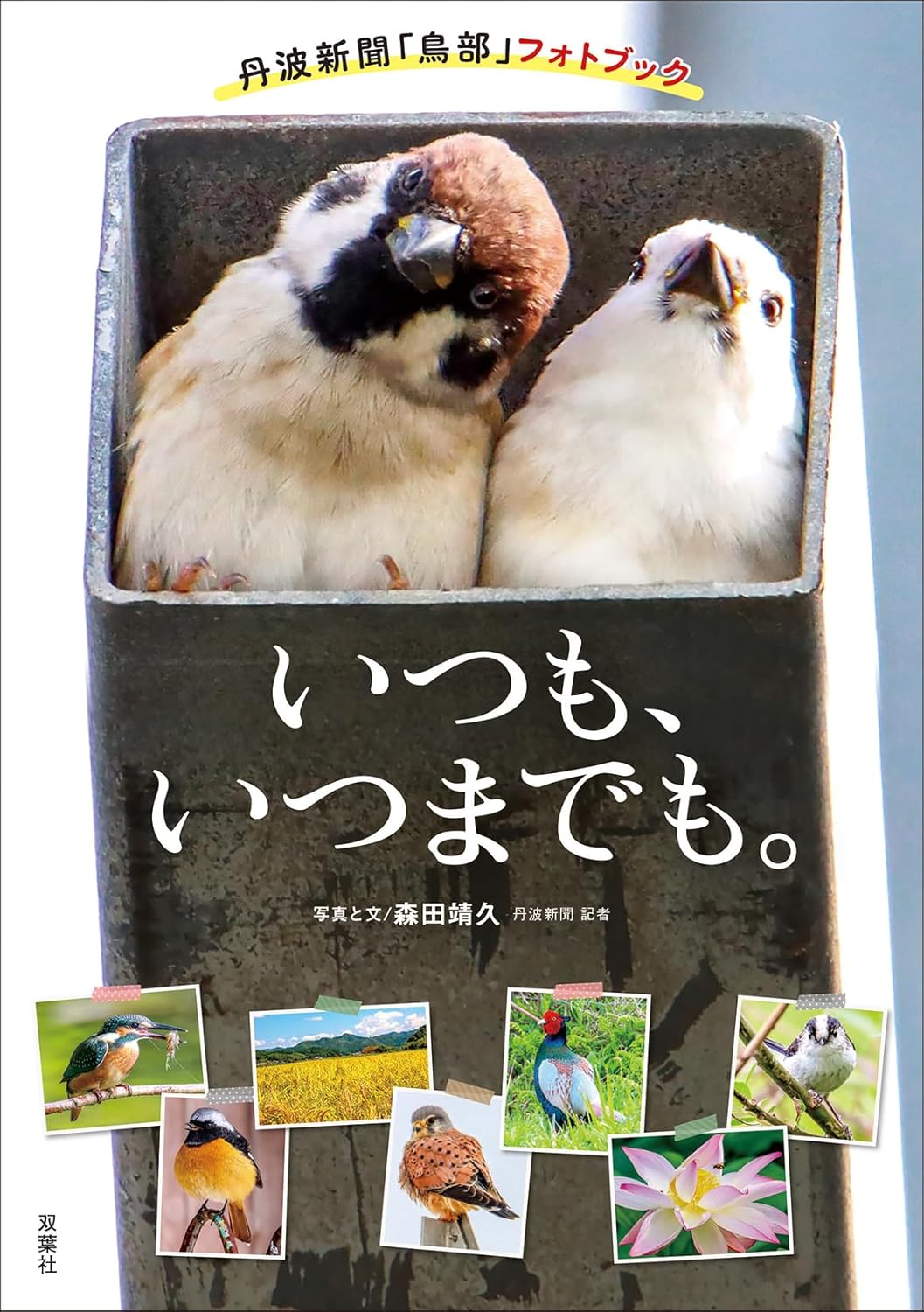 9784575320107 いつも、いつまでも。　丹波新聞「鳥部」フォトブック